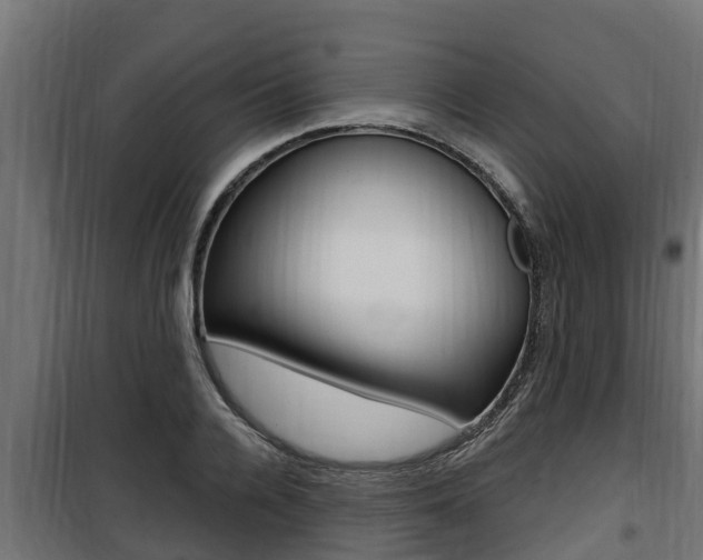 X0000100780936200806191013