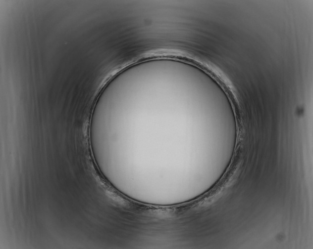 X0000100780937200806191013