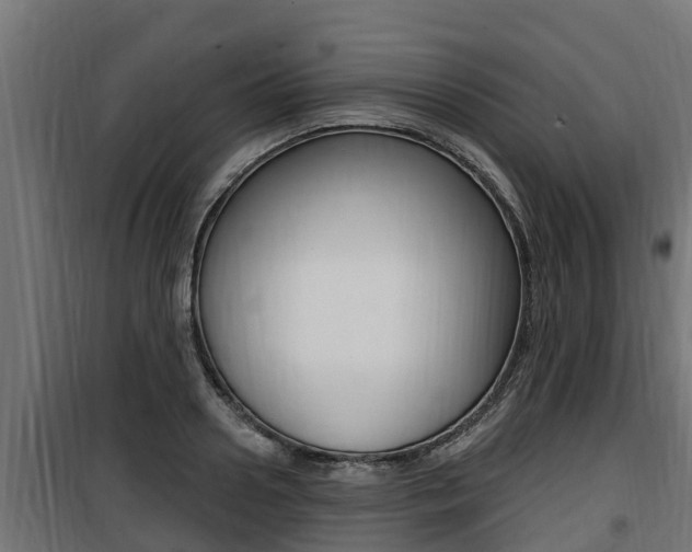 X0000100780938200806191013