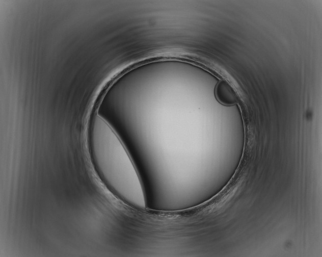 X0000100780939200806191013