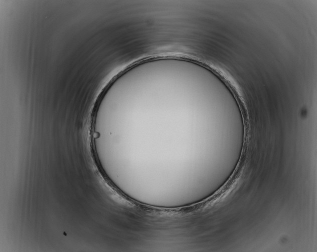 X0000100780941200806191013