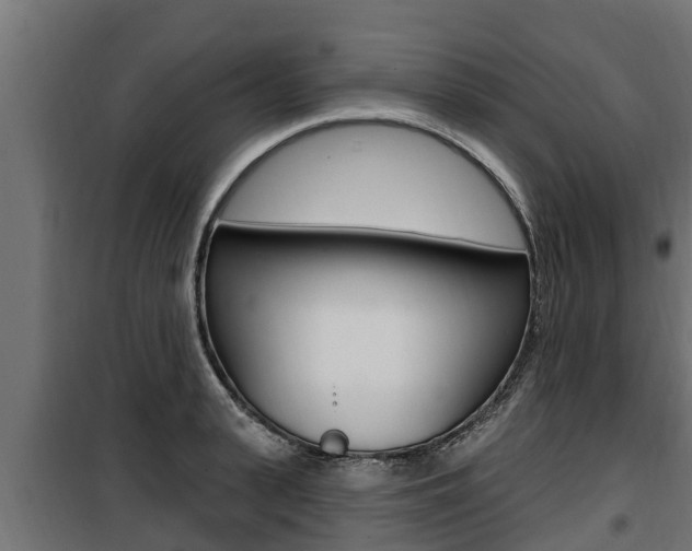 X0000100780943200806191013