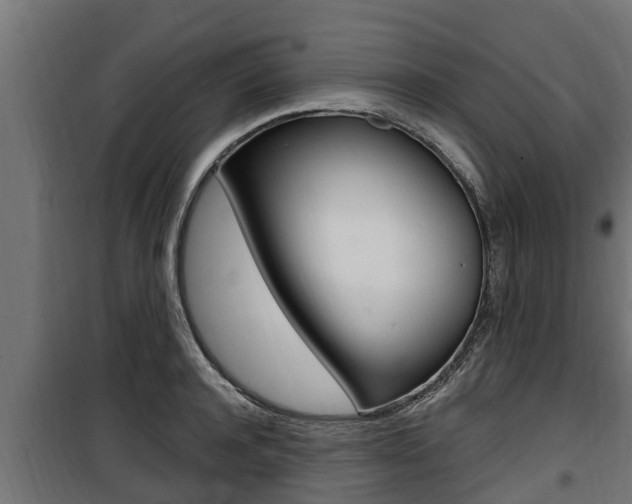 X0000100780944200806191013