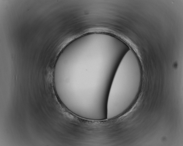 X0000100780945200806191013