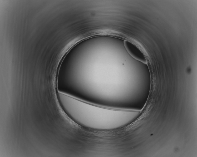 X0000100780946200806191013