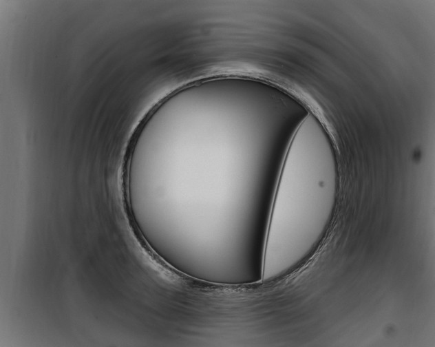 X0000100780947200806191013