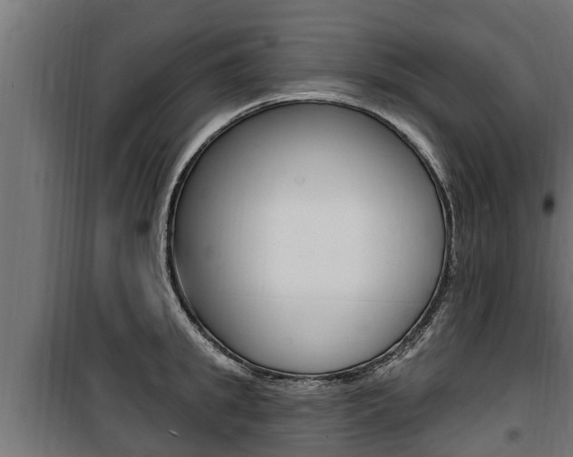 X0000100780949200806191013