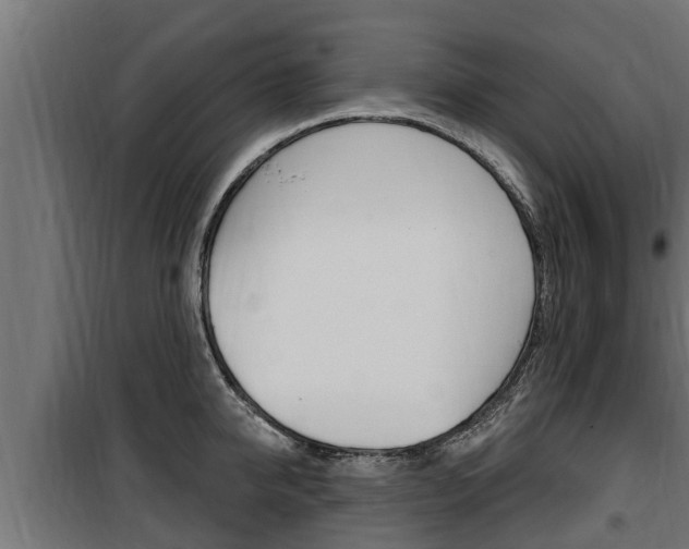 X0000100780950200806191013