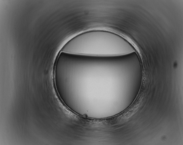 X0000100780951200806191013