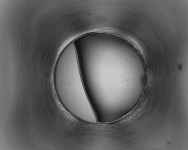 X0000100780952200806191013