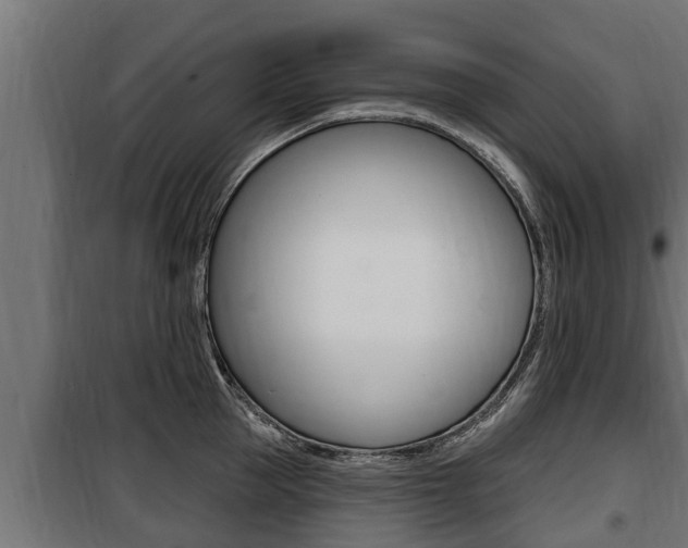 X0000100780953200806191013