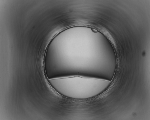 X0000100780954200806191013