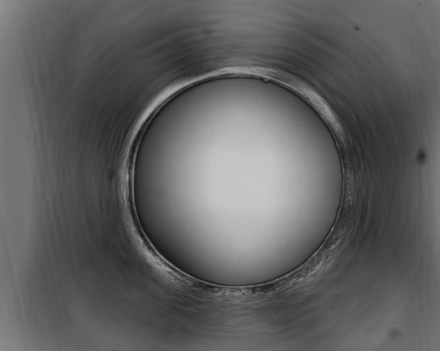 X0000100780955200806191013