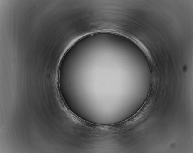 X0000100780956200806191013