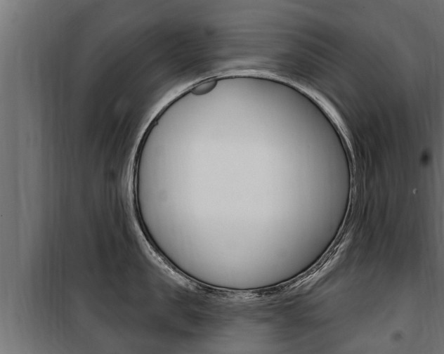 X0000100780957200806191013