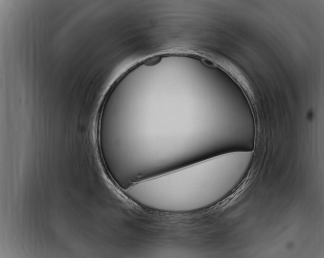 X0000100780958200806191013