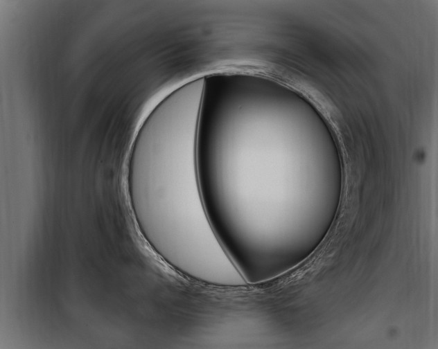 X0000100780960200806191013