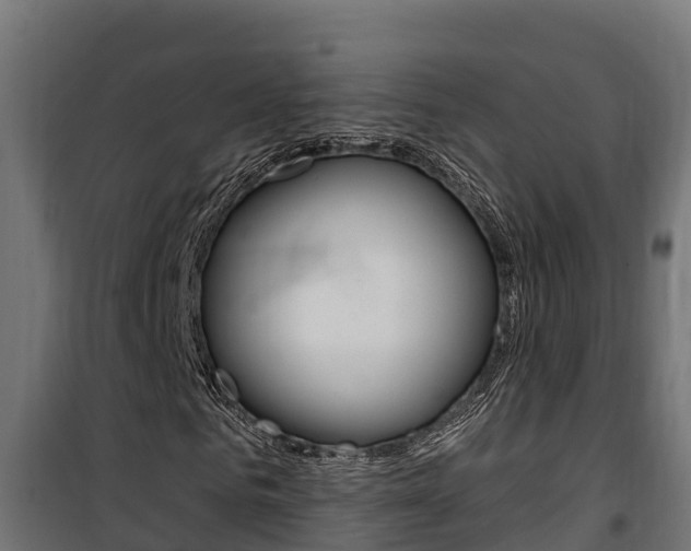 X0000100780961200806191013