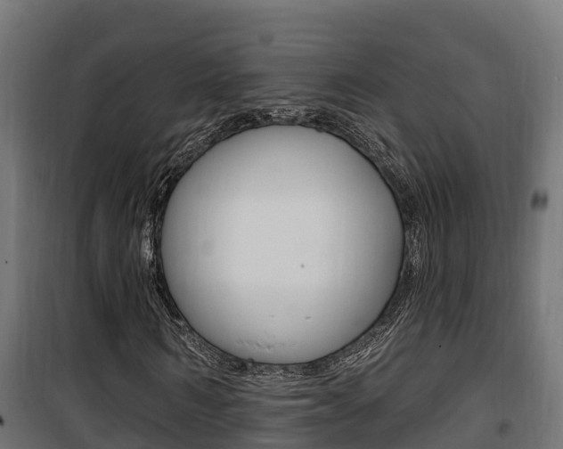 X0000100780962200806191013