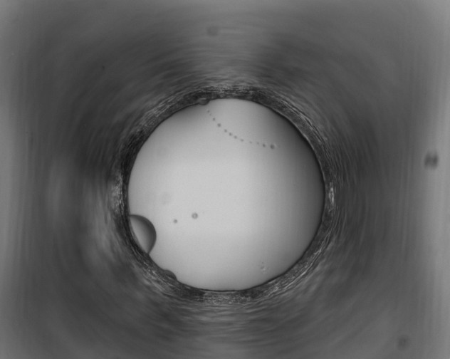 X0000100780963200806191013