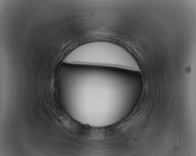 X0000100780964200806191013