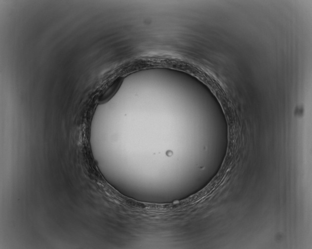 X0000100780965200806191013