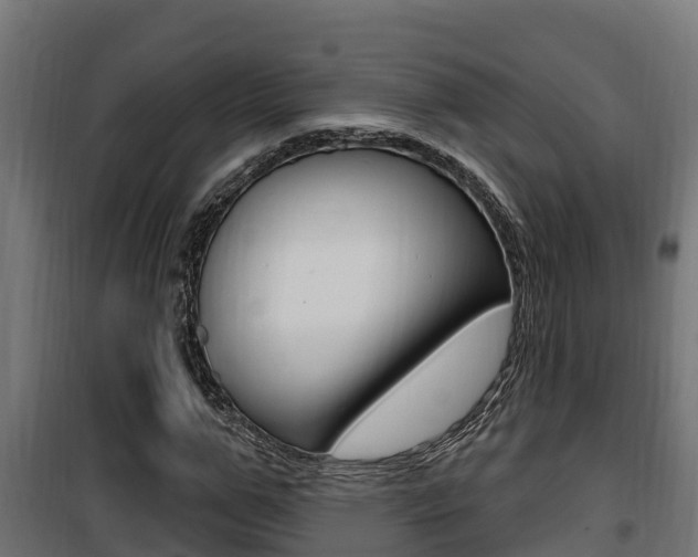 X0000100780967200806191013