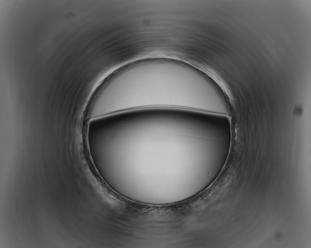 X0000100780972200806191012