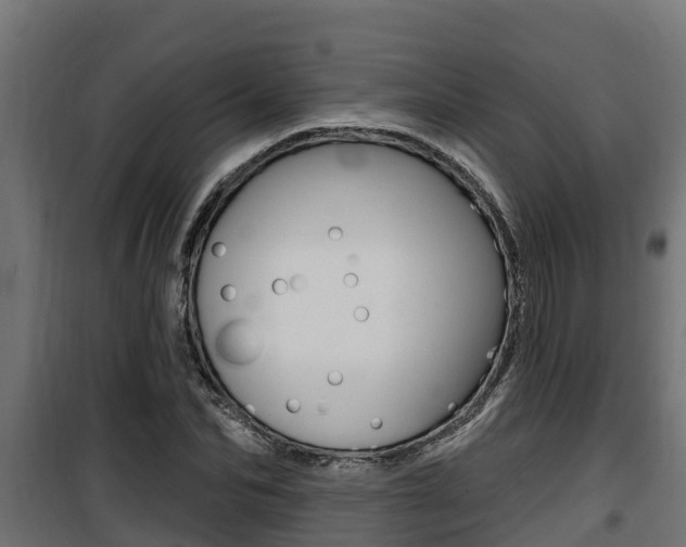 X0000100780974200806191012