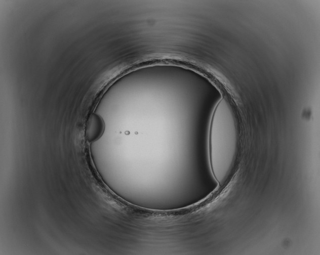 X0000100780977200806191012