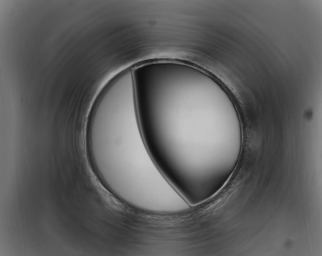 X0000100780980200806191012