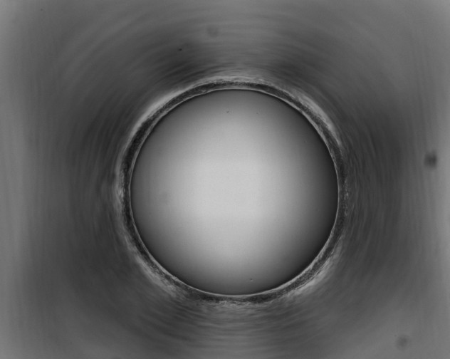 X0000100780981200806191012