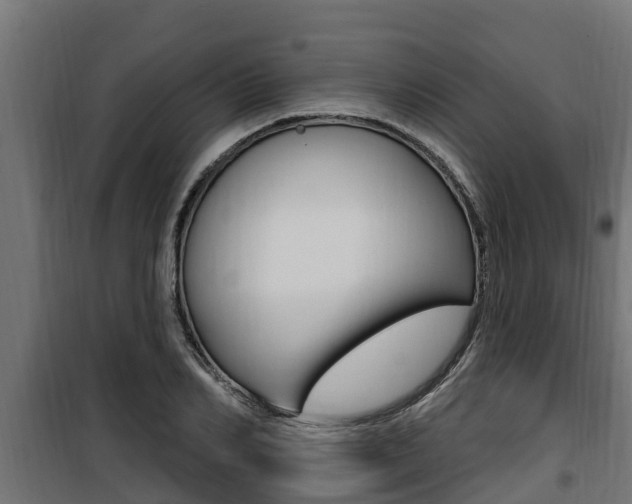 X0000100780982200806191012