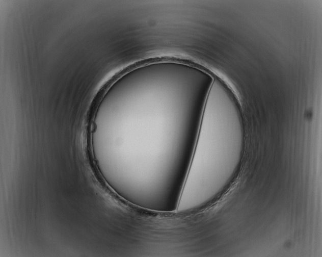 X0000100780983200806191012