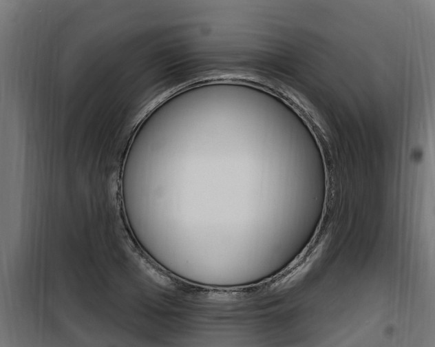 X0000100780985200806191012