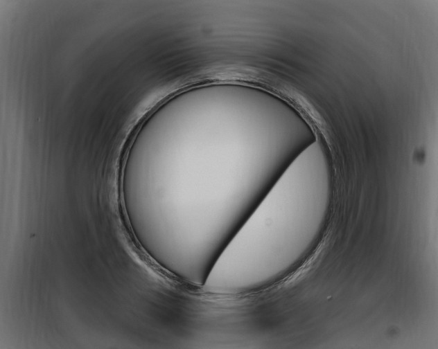 X0000100780986200806191012