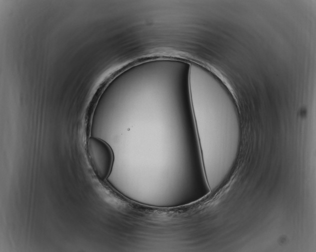 X0000100780987200806191012