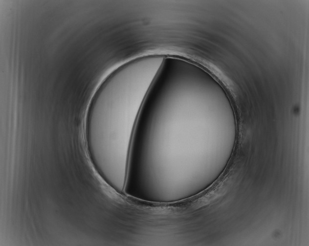 X0000100780988200806191012