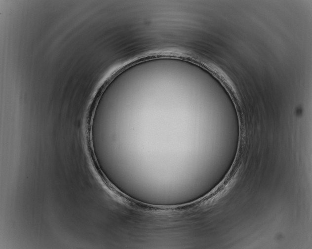 X0000100780989200806191012