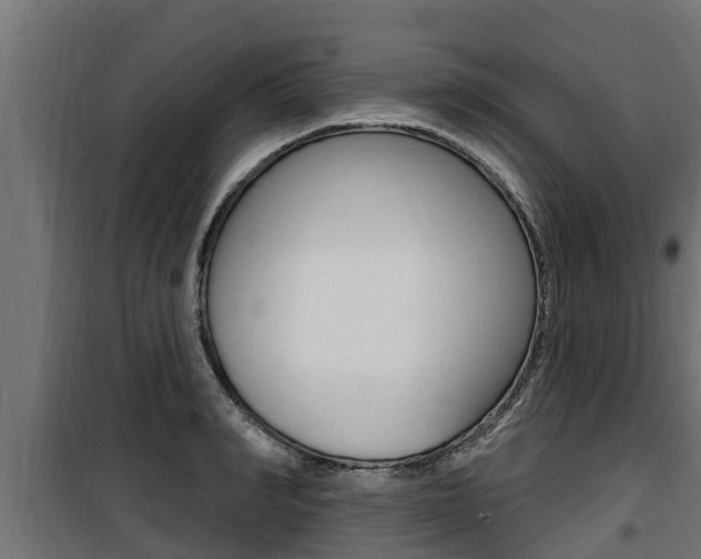 X0000100780990200806191012