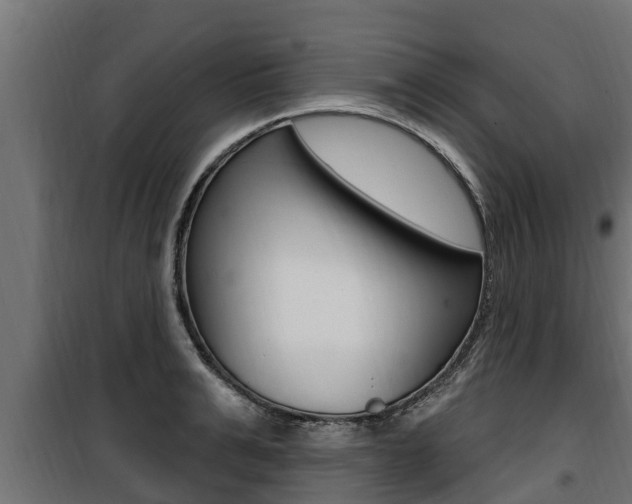 X0000100780991200806191012