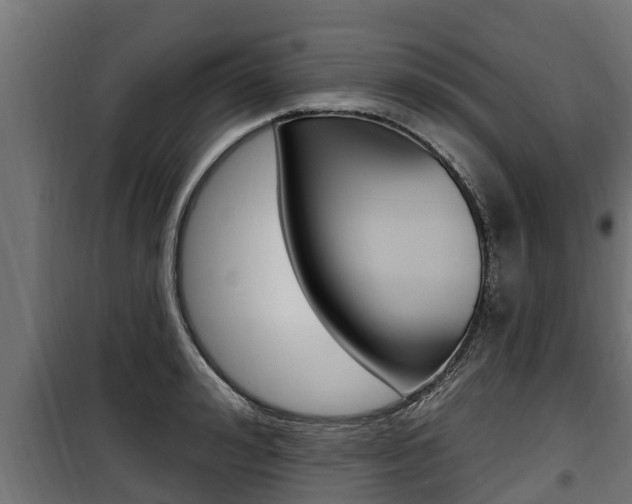 X0000100780992200806191012