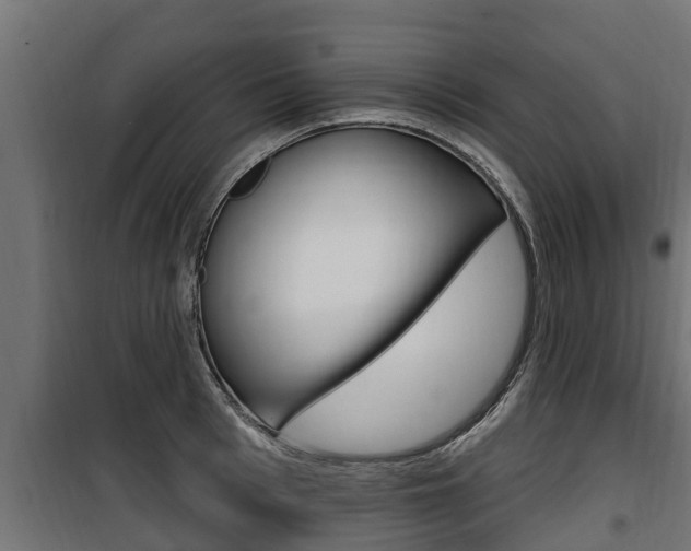 X0000100780993200806191012