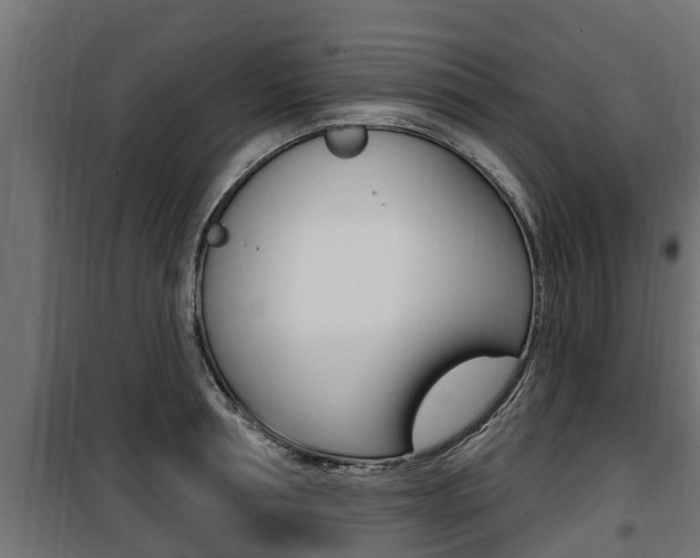 X0000100780994200806191012