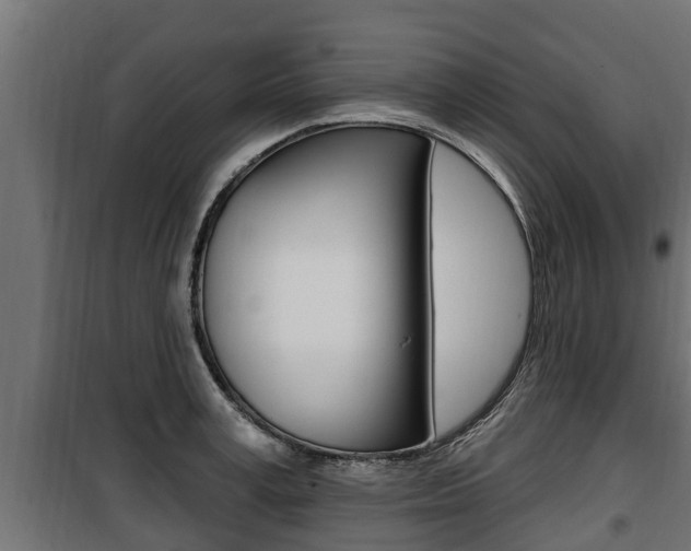 X0000100780995200806191012