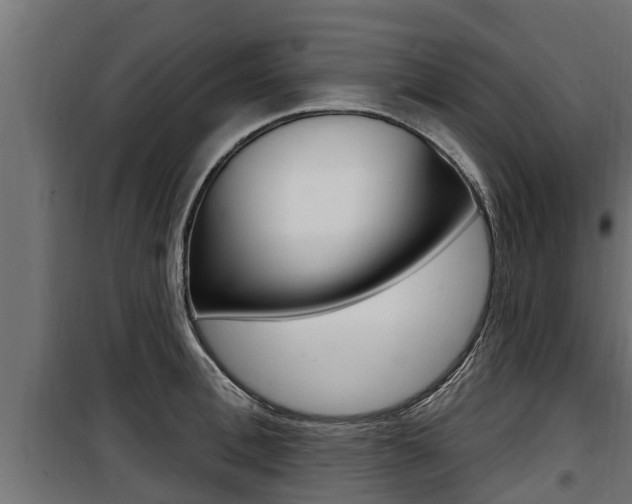 X0000100780996200806191012