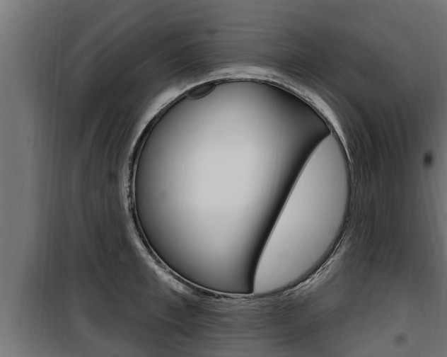 X0000100780997200806191012