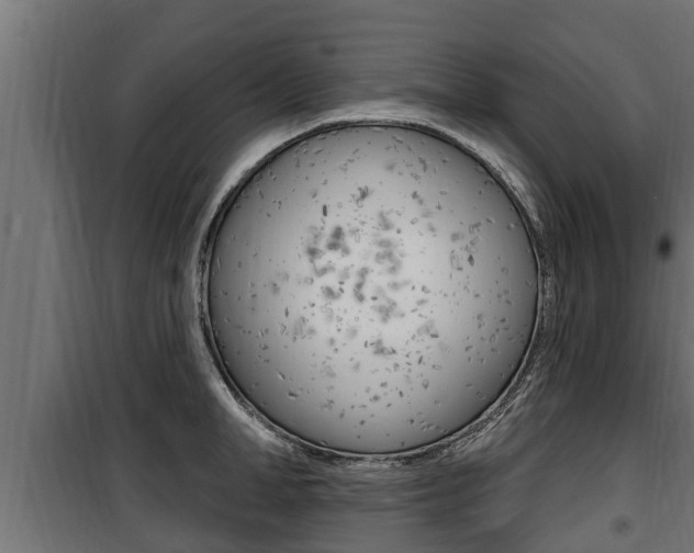 X0000100780998200806191012