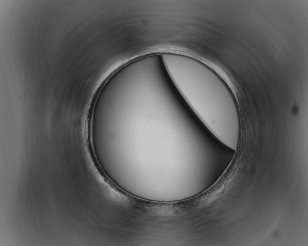 X0000100780999200806191012