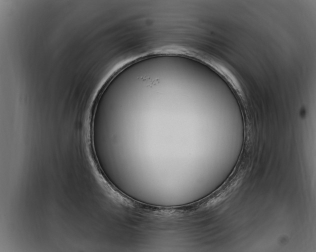 X0000100781000200806191012